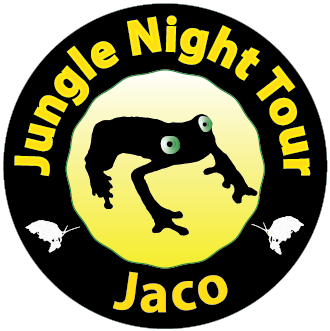 Jungle Night Tour Jaco