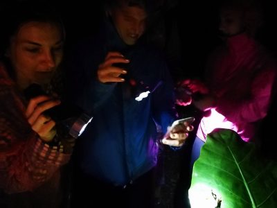 Jungle_Night_Tours_Jaco_Costa_Rica_0