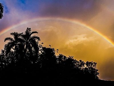 Jungle_Night_Tours_Jaco_Costa_Rica_Rainbow